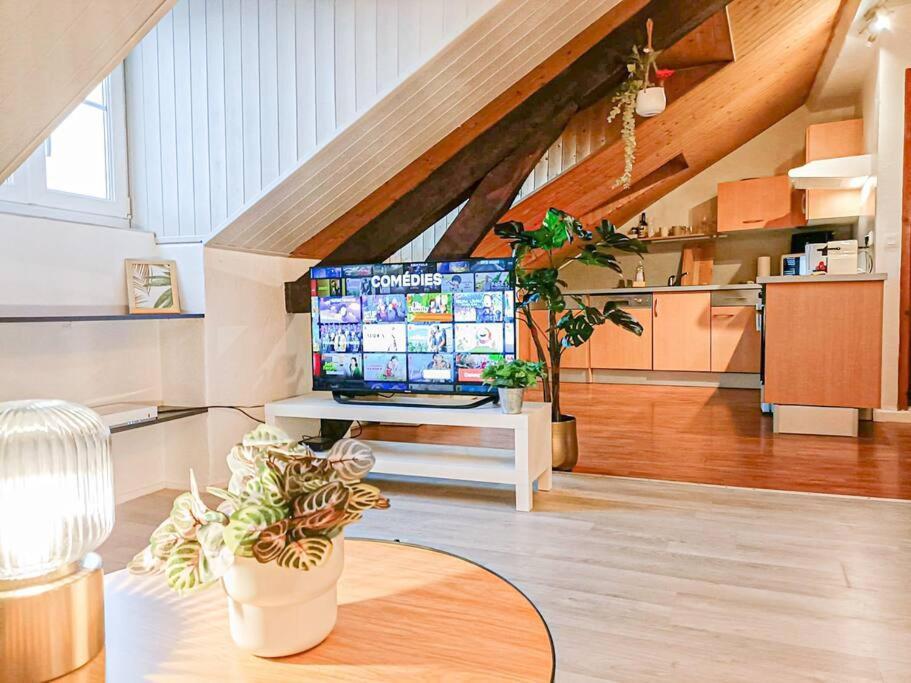 Appartement New Cosy Cinta - T2 - 4 Pers - Wifi